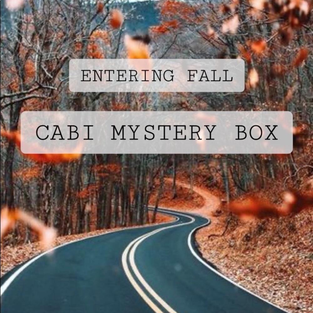 Cabi Mystery Fall Box (4 Pieces Per Box) Gem